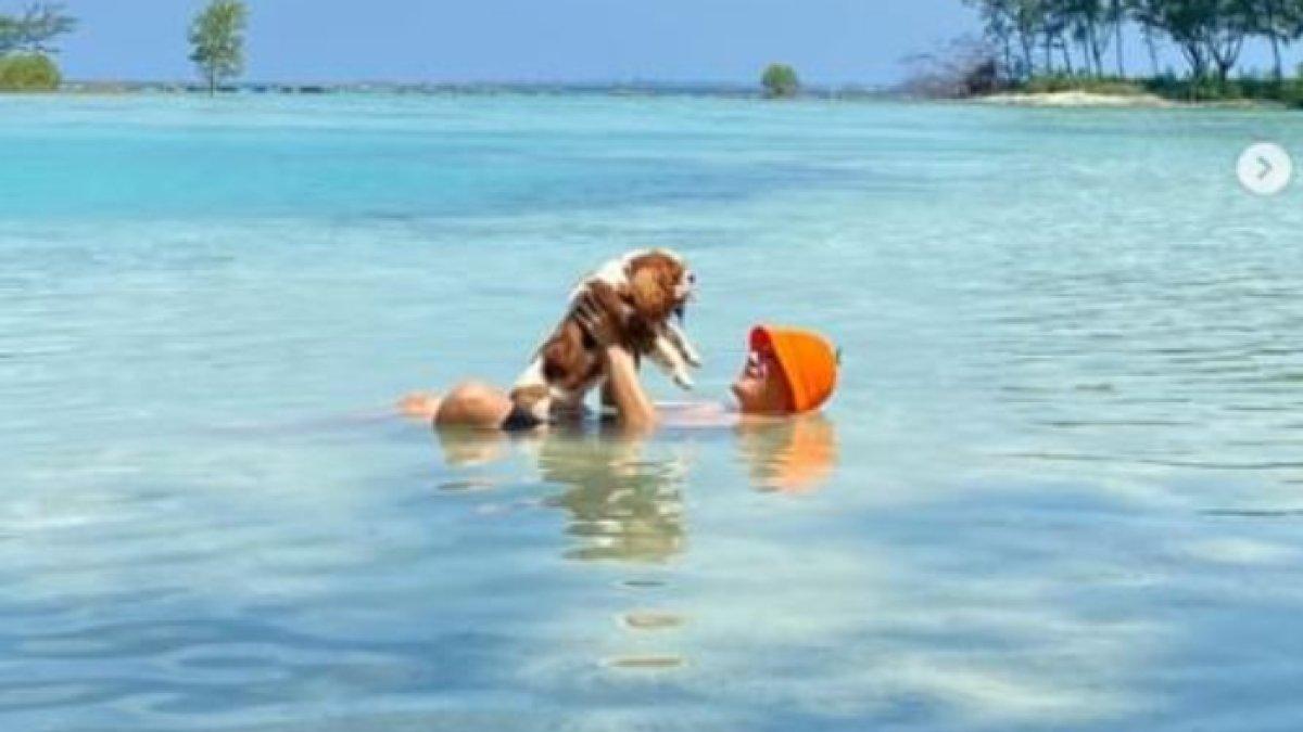 Momen Boy Wiliam liburan di pantai sambil ajak anjing kesayangannya
