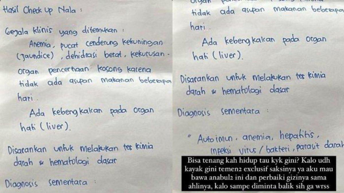 Nala didiagnosis sejumlah penyakit. Mulai dari anemia hingga hepatitis.