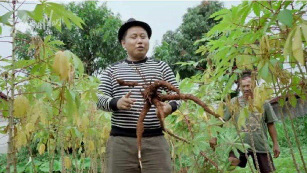 NARJI JADI PETANI - Dengan kepemilikan sawah barunya, Narji kerap bikin konten soal pertanian.