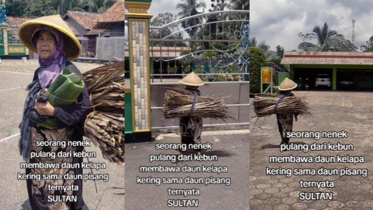 Nenek sultan itu dikenal sebagai seorang pengusaha yang memiliki sawah berhektar-hektar.