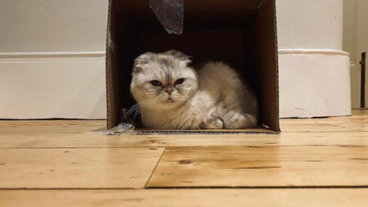 Olivia Benson mempunyai kekayaan Rp1,5 triliun