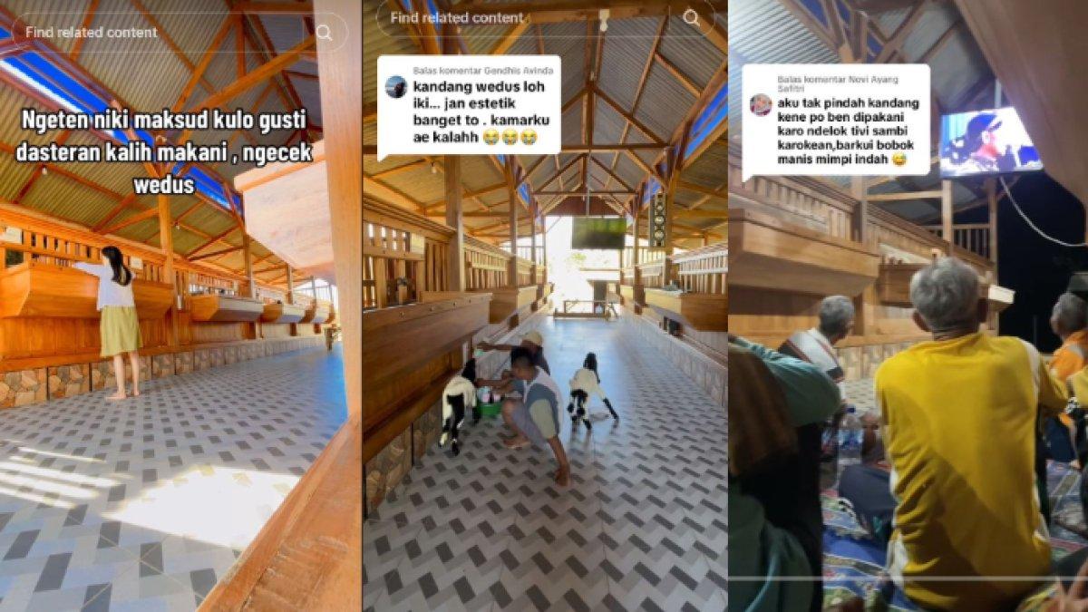 POTRET kandang kambing di Tuban bersih, rapi dan nyaman, terdapat fasilitas televisi buat nyaman karyawan.