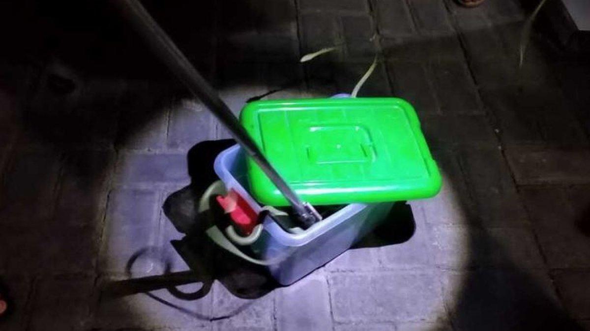 Paket berisi belasan ular dikirm ke dosen di Karanganya, Jawa Tengah