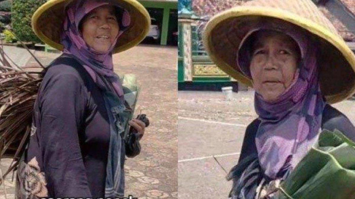 Penampilannya biasa