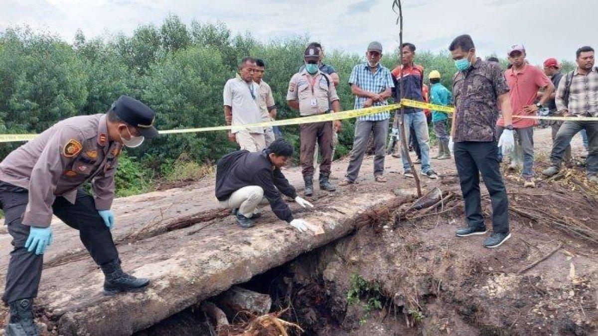 Penemuan mayat perempuan pada Jumat (25/8/2023), yang terbungkus dalam karung di bawah jembatan jembatan sungai 1 Jalan Akasia area PT. Arara Abadi RT. 013 Kelurahan Bukit Kapur Kecamatan Bukit Kapur Kota Dumai