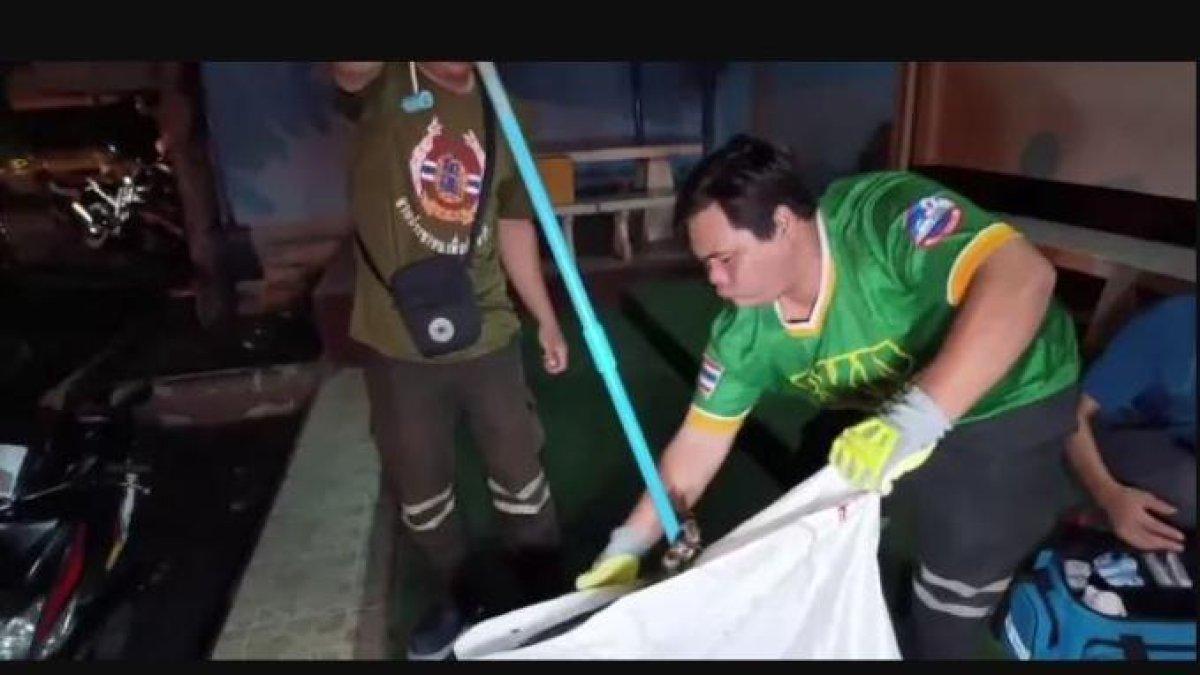 Pihak berwenang Thailand menangkap ular yang menggigit Sarayuth Malachan