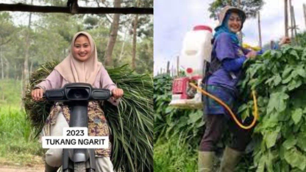 Potret Novy Listy jadi tukang ngarit