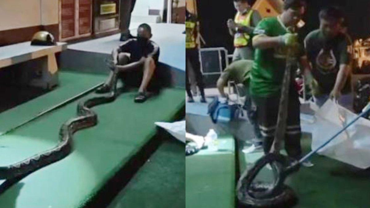 Ular Piton di Thailand yang melilit seorang pria