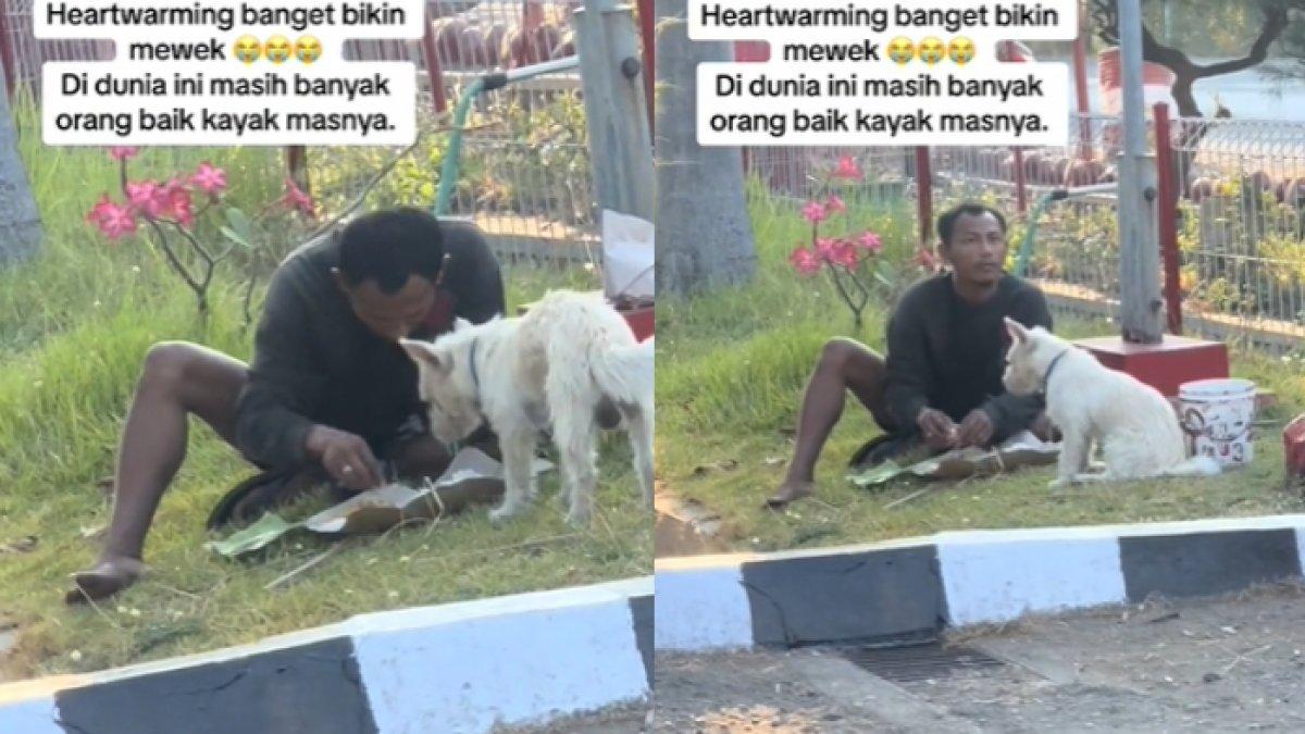 Pria berbagi nasi bungkus dengan anjingnya
