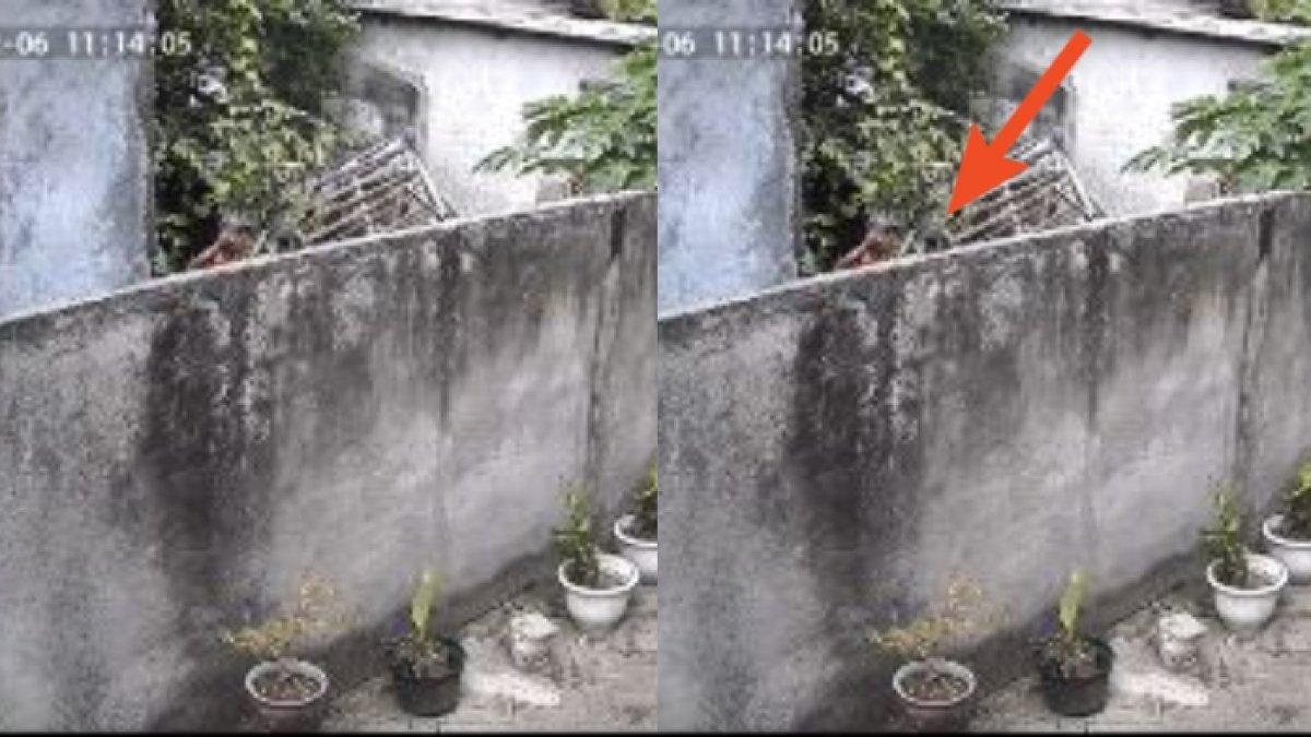 Pria usil kerap lempari rumah tetangga pakai batu dan sampah