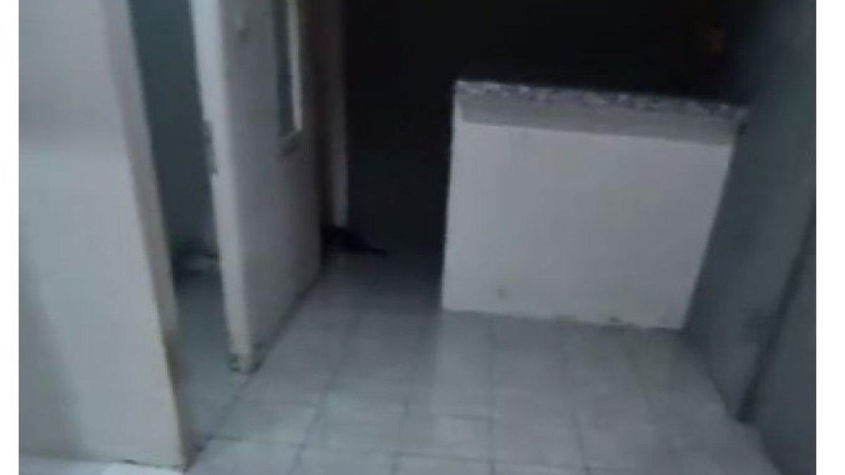 Rumah baru Talitha ini memiliki desain interior dengan konsep minimalis.