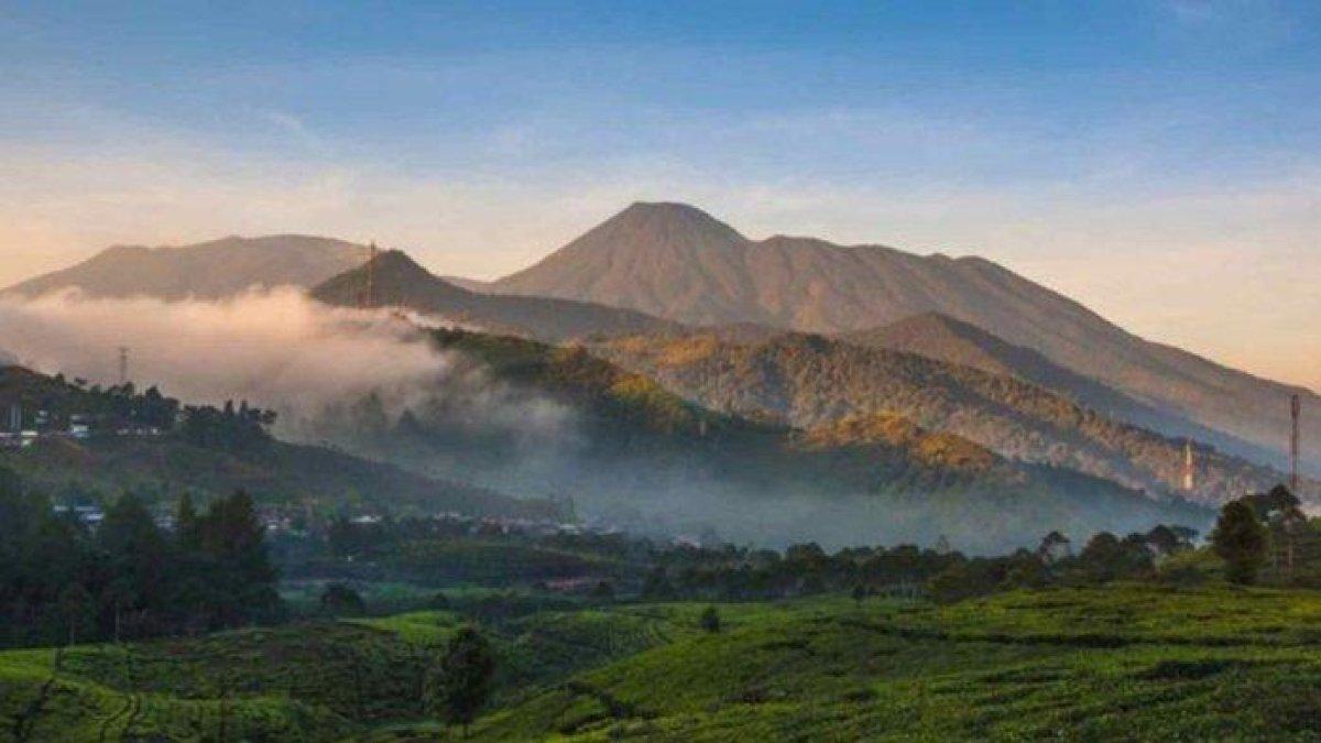 Sebanyak 13 pendaki Gunung Pangrango tersesat, diduga masuk lewat jalur ilegal