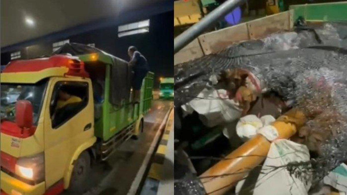 Sebuah truk yang membawa 226 anjing diberhentikan di gerbang Tol Otomatis (GTO) Kalikangkung Ngaliyan Semarang, Sabtu (6/1/2024)