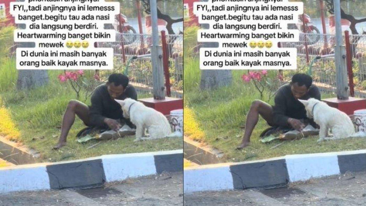 Sebuah video memperlihatkan pria yang membagi nasi bungkusnya dengan seekor anjing beredar viral di media sosial
