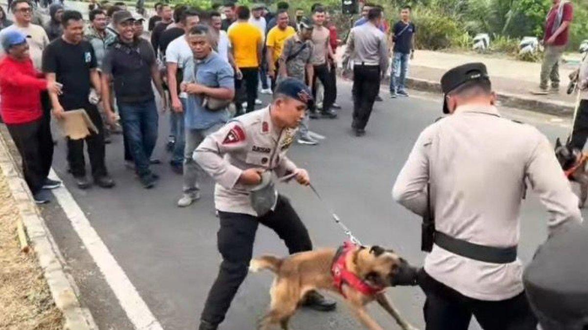 Seekor anjing pelacak gigit komandan polisi