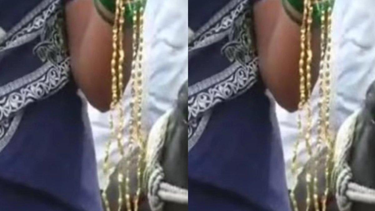 Seekor kerbau harus dioperasi untuk mengeluarkan kalung emas