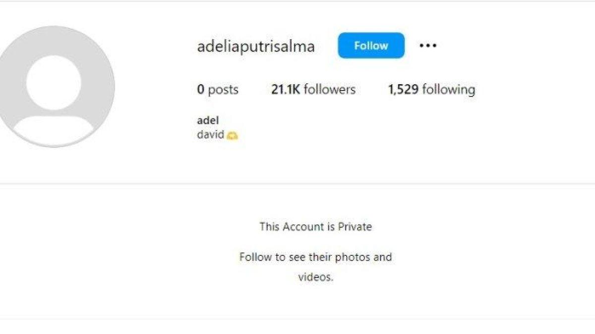 Instagram Adelia Putri Salma