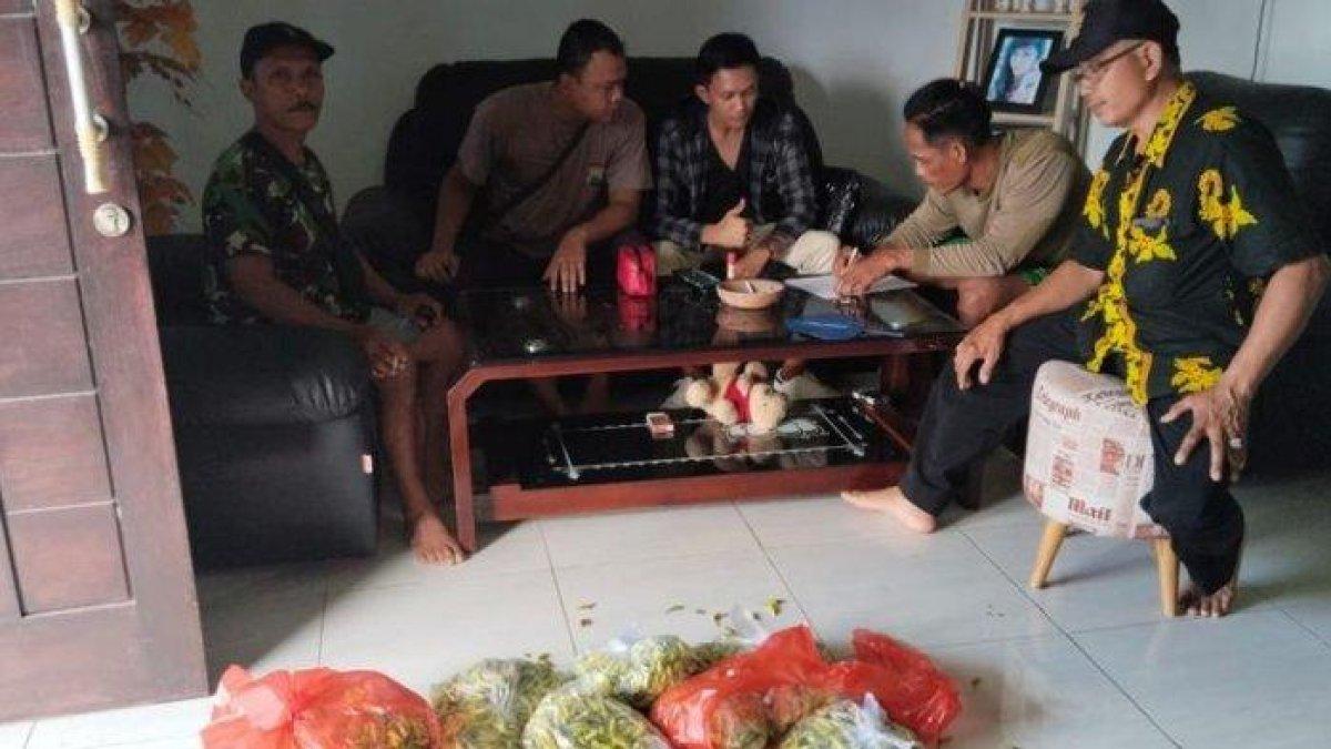 Seorang pria di Banyuwangi nekat mencuri cabai di kebun sehingga nyaris dihajar massa pada Kamis (7/12/2023). Dia ditangkap dan dibawa ke rumah pemilik kebun.