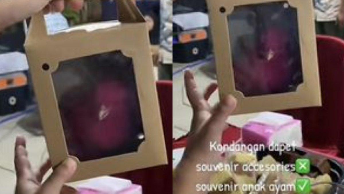 Tangkapan layar video souvenir pernikahan anak ayam warna-warni.