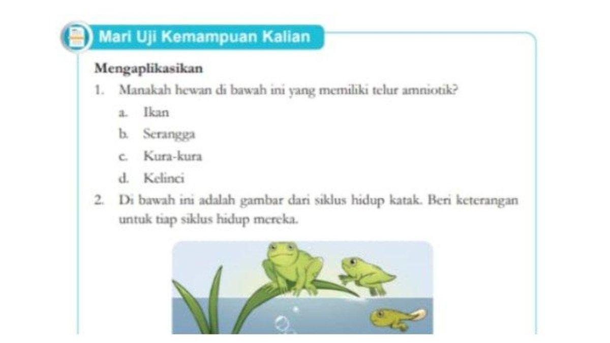 Simak kunci jawaban IPA kelas 9 halaman 16
