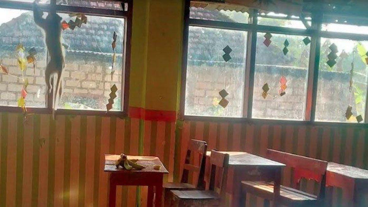 Siswa MI Wali Songo Kecamatan Kedamean, Kabupaten Gresik, Jawa Timur (Jatim), digegerkan dengan seekor monyet yang masuk ke dalam kelas