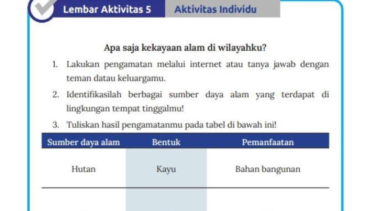 Soal buku IPS Kurikulum Merdeka Kelas 8 halaman 19
