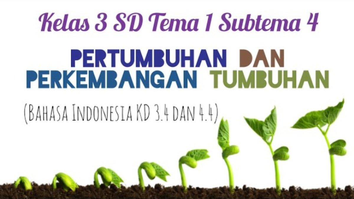 Soal Materi IPA Kelas 3 SD/MI Kurikulum Merdeka, Kunci Jawaban Tentang ... Soal Materi IPA Kelas 3 SD/MI Kurikulum Merdeka, Kunci Jawaban Tentang ...