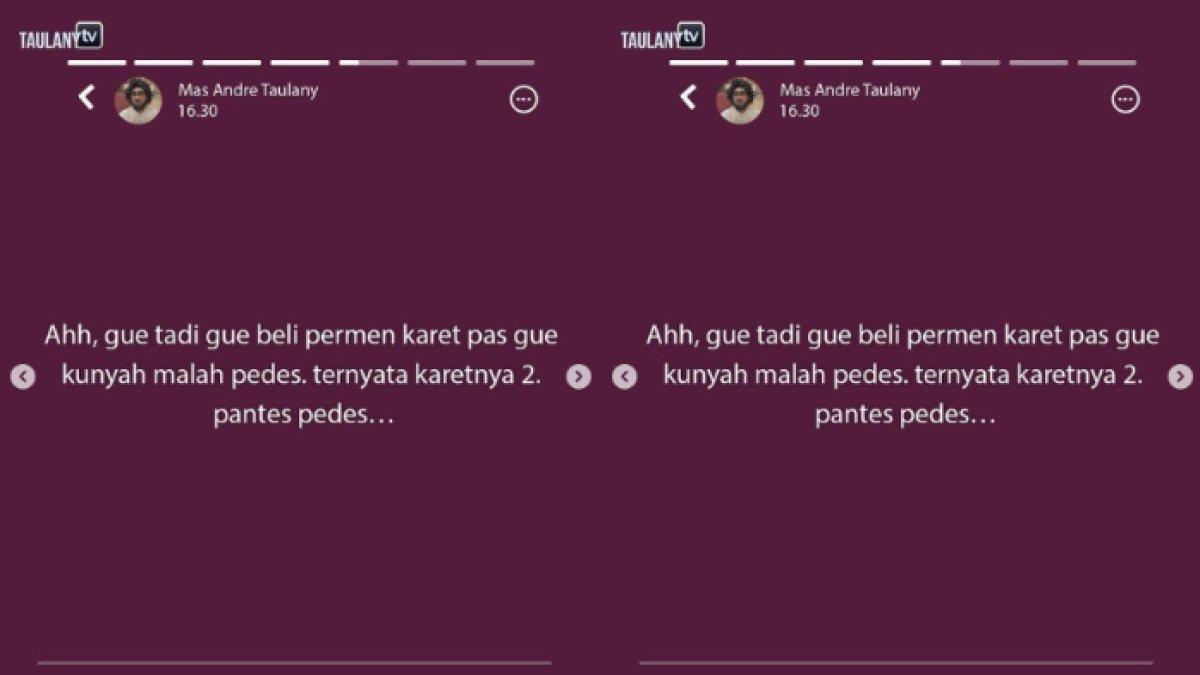 Status WhatsApp Andre Taulany 5