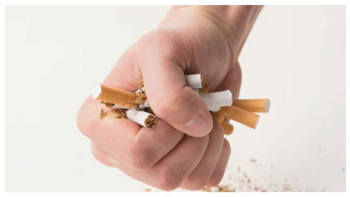 STOP MEROKOK SEKARANG - Berhenti merokok sekarang! Sayangi paru-paru, hemat uang, dan hidup lebih sehat. Setiap hisapan merusak, setiap berhenti menyelamatkan.