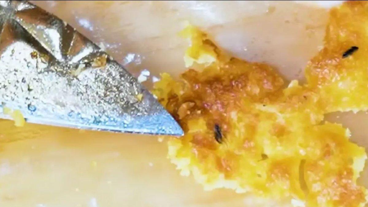 PROFIL CI MEHONG - Tasyi Athasyia mengunggah video mencicipi kue Bika Ambon dari Ci Mehong dan mengungkapkan bahwa ia menemukan serangga di dalam kue tersebut. 