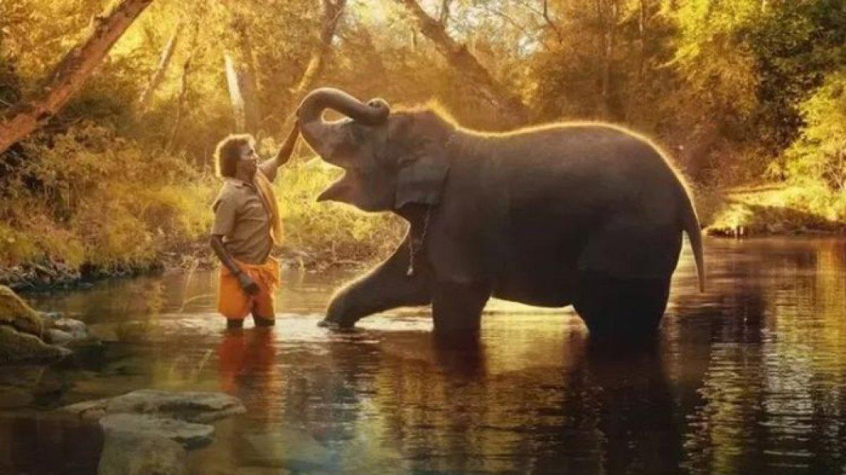 The Elephant Whisperers memenangi Oscar untuk kategori film pendek dokumenter terbaik.