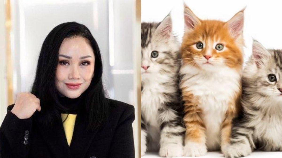 RIDERS UNIK - Ramai soal riders, Titi DJ bongkar ada penyanyi yang minta disediakan kucing sebelum manggung.