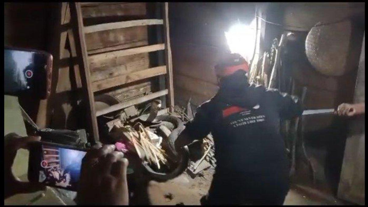 Ular King Cobra sepanjang 4 meter dievakuasi dari rumah warga Dusun Singgahan, Kabupaten Trenggalek.