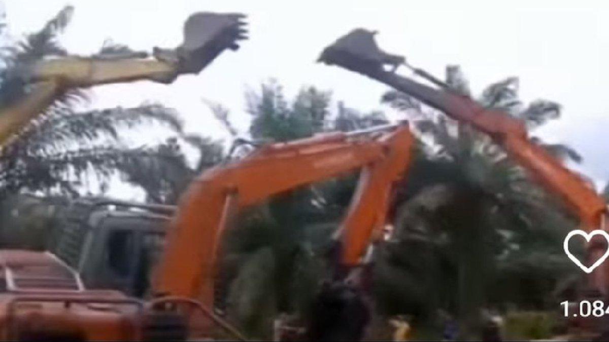 Tangkapan layar video viral eskavator baku hantam di kebun sawit di Kabupaten Siak, Riau, Sabtu (25/11/2023).