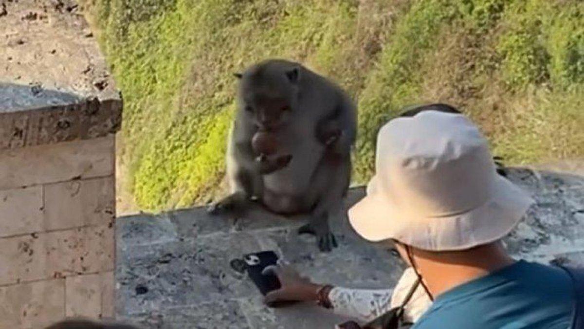 Viral Momen Warga Lokal Bali
