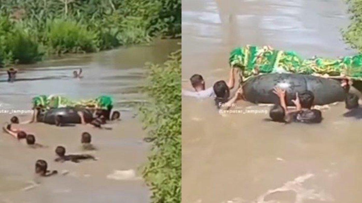 Viral di media sosial video momen pilu saat sejumlah warga terpaksa berenang menyebrangi sungai untuk membawa jenazah yang akan dimakamkan.