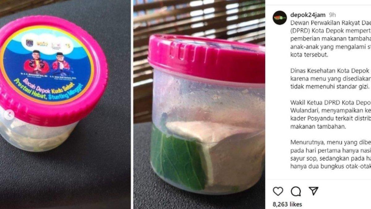 Viral menu makanan pencegah stunting dari Pemerintah Kota Depok cuma tahu putih dan sawi diberi kuah