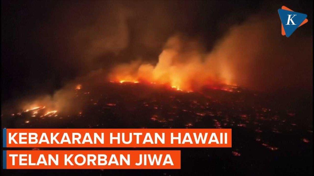 Viral video dahsyatnya kebakaran yang menghancurkan Hawaii, Amerika Serikat.