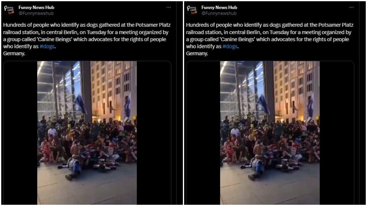Viral video orang-orang berkumpul dan menggonggong di jalanan Jerman.