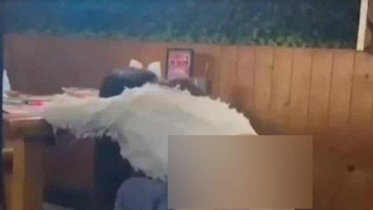 Wanita lepas celana dan pipis di restoran yang banyak pengunjung