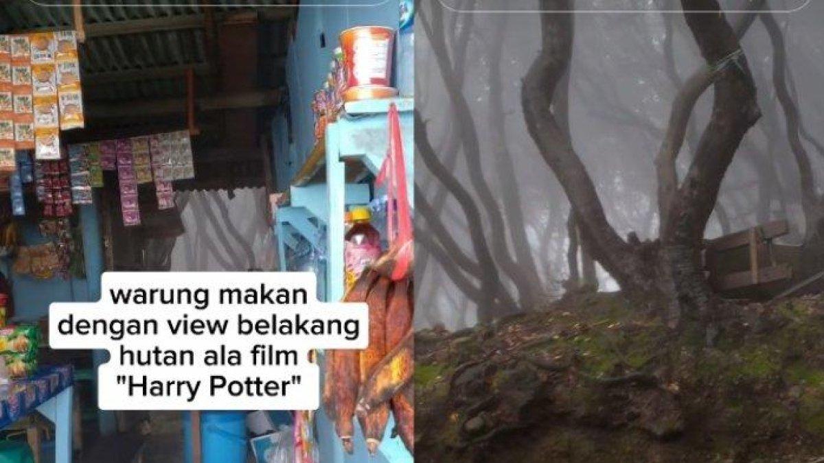 Warung di Tangkuban Perahu miliki view bak film Harry Potter.