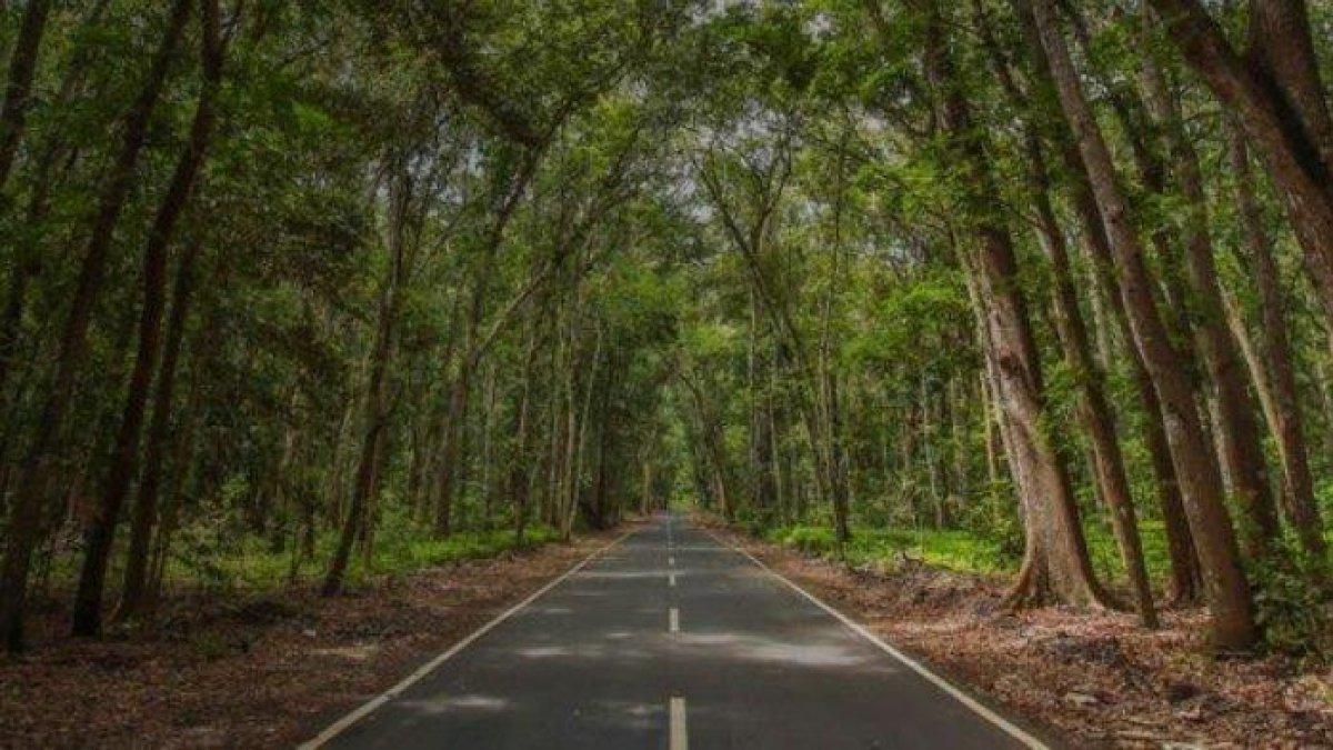 Alas Purwo di Banyuwangi, Jawa Timur.