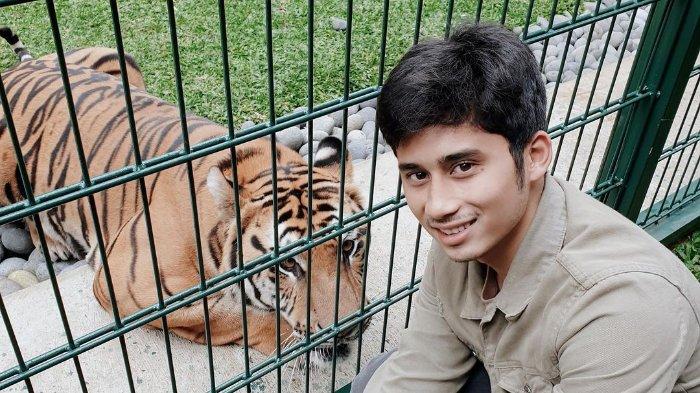 Alshad Ahmad dan harimau peliharaannya.
