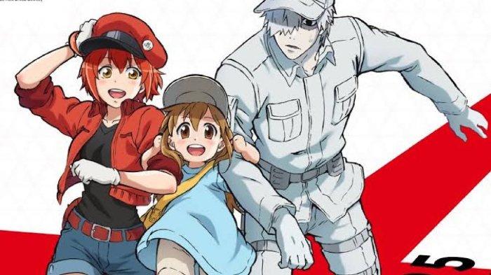 Anime Cells at Work!