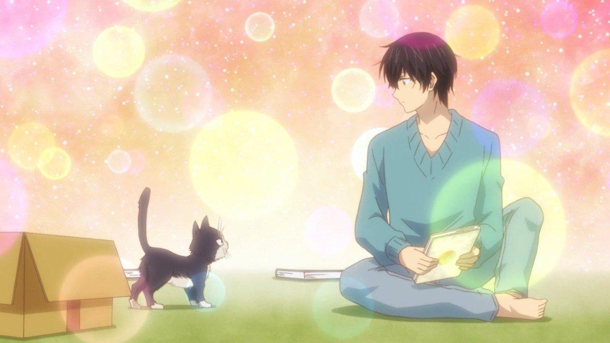 Doukyonin wa Hiza, Tokidoki, Atama no Ue atau My Roommate is a Cat