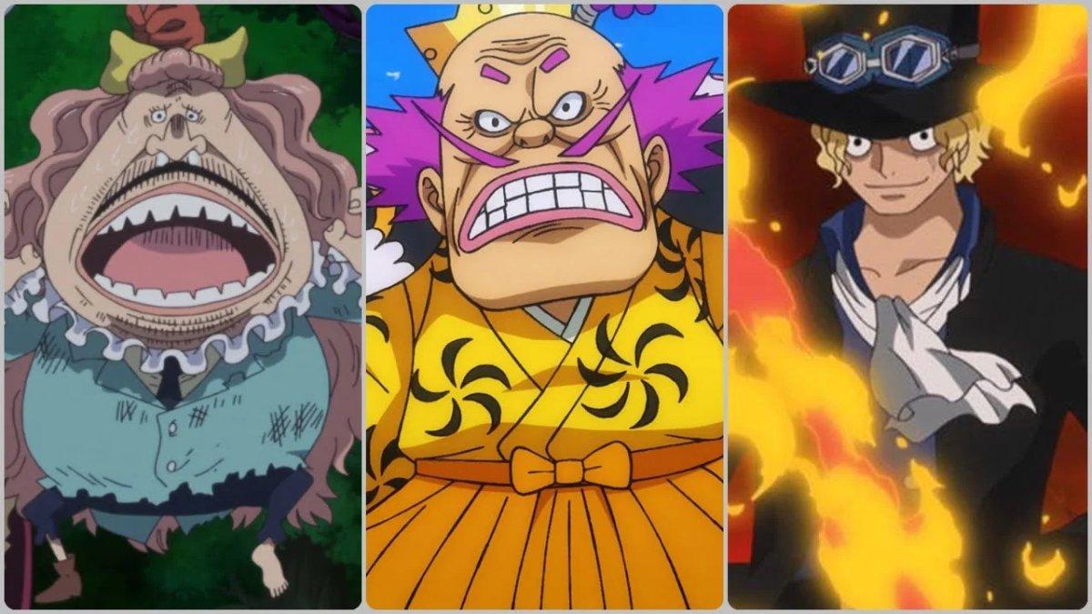 anime wanpis 16
