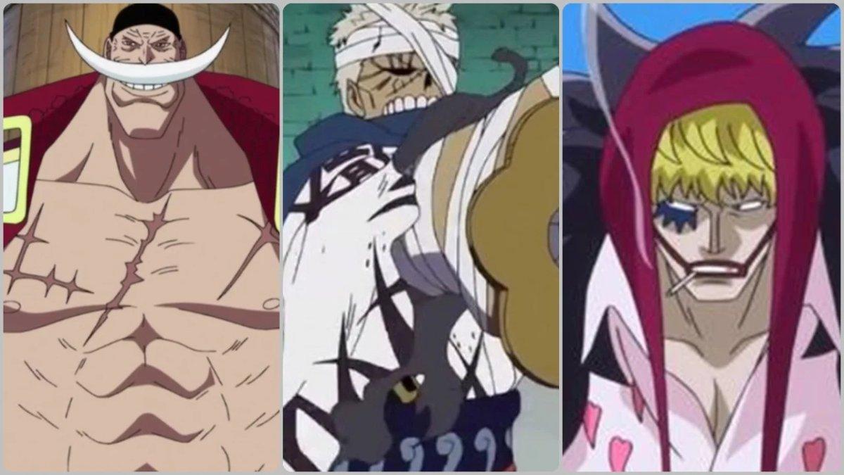 anime wanpis 17