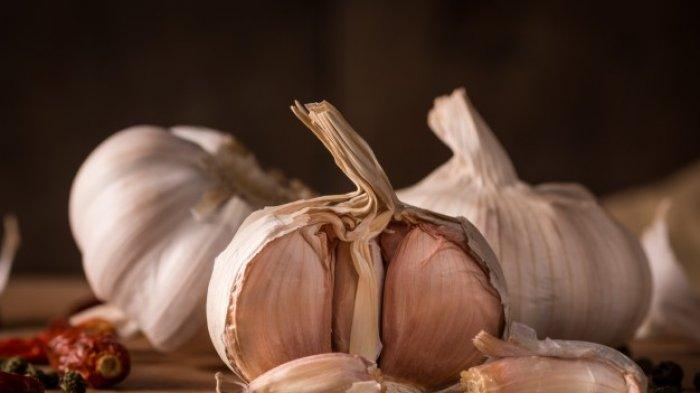 bawang putih untuk mengobati kutil kelamin