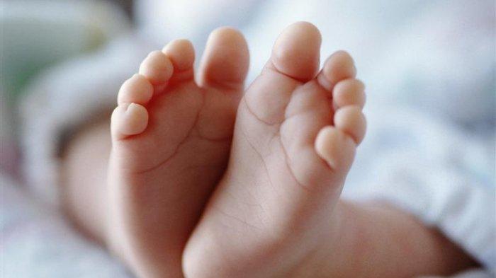 Ilustrasi - bayi dibuang di Desa Harjokuncaran, Malang