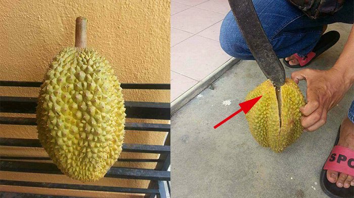 belah duren atau belah durian
